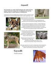 Load image into Gallery viewer, NYC Student Journal (PDF)
