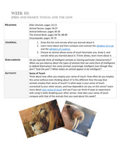 Load image into Gallery viewer, Three-Term Animals Bundle (PDF)
