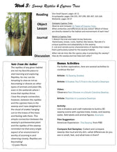 Load image into Gallery viewer, Delighting in Habitats: Swamp
