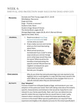 Load image into Gallery viewer, Three-Term Animals Bundle (PDF)
