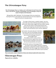 Load image into Gallery viewer, Delighting in the World 4 Student Journal (PDF)
