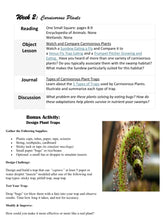Load image into Gallery viewer, Delighting in Habitats: Swamp
