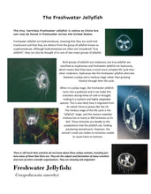 Load image into Gallery viewer, Delighting in the World Volume 3 Journal PRINT
