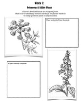 Load image into Gallery viewer, Exploration Mega Bundle (PDF)

