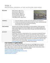 Load image into Gallery viewer, Three-Term Animals Bundle (PDF)
