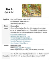 Load image into Gallery viewer, Delighting in Habitats: Swamp
