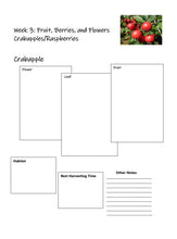 Load image into Gallery viewer, Exploration Mega Bundle (PDF)
