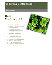 Load image into Gallery viewer, Securing Settledness Challenge
