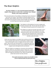 Load image into Gallery viewer, Delighting in the World: Rivers Student Journal

