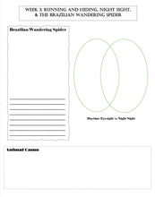 Load image into Gallery viewer, Three-Term Animals Bundle (PDF)

