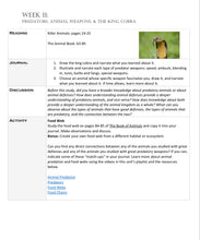Load image into Gallery viewer, Family Learning Package (PDF)
