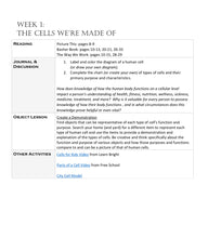 Load image into Gallery viewer, Human Body STUDENT JOURNAL (PRINT)
