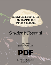 Load image into Gallery viewer, Foraging Student Journal (PDF)
