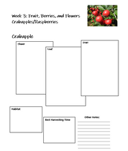 Load image into Gallery viewer, Foraging Student Journal (PDF)
