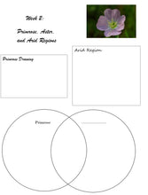 Load image into Gallery viewer, Wildflowers Student Journal (PRINT)
