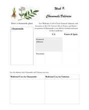 Load image into Gallery viewer, Medicinal Plants Student Journal (Print)
