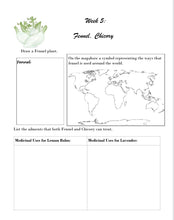 Load image into Gallery viewer, 3-Term Botany Bundle (PDF)

