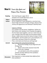 Load image into Gallery viewer, Habitats Bundle (PRINT)
