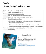 Load image into Gallery viewer, Delighting in Creation: Ocean Life (Print)
