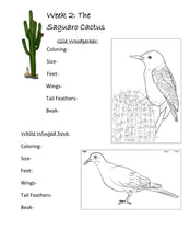 Load image into Gallery viewer, Desert Student Journal (PDF)
