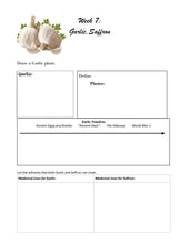 Load image into Gallery viewer, Medicinal Plants Student Journal (Print)
