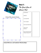 Load image into Gallery viewer, Three-Term Marine Life Bundle (PRINT)
