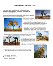 Load image into Gallery viewer, Delighting in the World 2 Student Journal (PDF)
