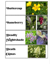 Load image into Gallery viewer, Family Learning Package (PDF)
