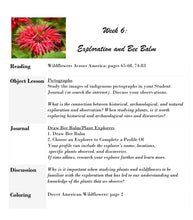 Load image into Gallery viewer, Delighting in Creation: Wildflowers (PDF)
