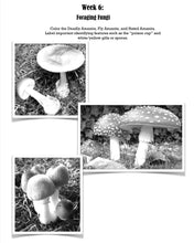 Load image into Gallery viewer, Scouting 2 Student Journal (Print)
