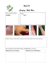 Load image into Gallery viewer, Medicinal Plants Student Journal (PDF)

