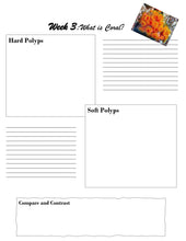 Load image into Gallery viewer, Habitats Mega Bundle (PDF)
