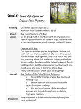 Load image into Gallery viewer, Habitats Mega Bundle (PRINT)
