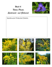 Load image into Gallery viewer, Wildflowers Student Journal (PDF)

