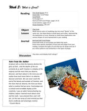 Load image into Gallery viewer, Delighting in Habitats: Coral Reef (Print)
