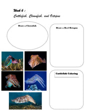 Load image into Gallery viewer, Habitats Mega Bundle (PDF)
