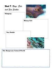 Load image into Gallery viewer, Coral Reef  Student Journal (Print)
