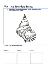 Load image into Gallery viewer, Two Term Marine Life Bundle (PRINT)
