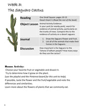 Load image into Gallery viewer, Habitats Mega Bundle (PDF)
