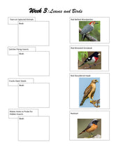 Load image into Gallery viewer, Habitats Mega Bundle (PDF)
