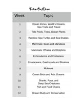 Load image into Gallery viewer, Delighting in Creation: Ocean Life (PDF)
