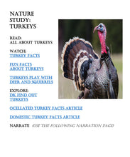 Load image into Gallery viewer, Delighting in Festivity: Thanksgiving PDF BUNDLE
