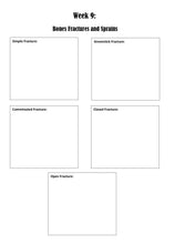 Load image into Gallery viewer, Scouting 3 Student Journal (PDF)
