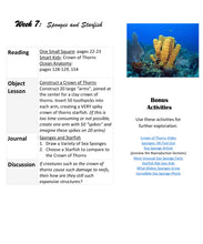 Load image into Gallery viewer, Three-Term Marine Life Bundle (PRINT)
