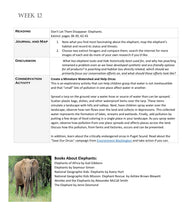 Load image into Gallery viewer, Delighting in Animals: Endangered and Extinct (PDF)
