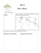 Load image into Gallery viewer, 3-Term Botany Bundle (PRINT)
