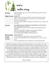 Load image into Gallery viewer, Two-Term Plants Bundle (PDF)
