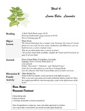 Load image into Gallery viewer, 3-Term Botany Bundle (PRINT)

