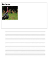 Load image into Gallery viewer, Delighting in Festivity: Fall Bundle (PRINT)
