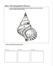Load image into Gallery viewer, Seashells Student Journal (PDF)
